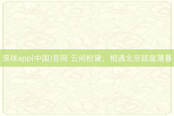 滚球app(中国)官网 云间粉黛，相遇北京跋扈薄暮